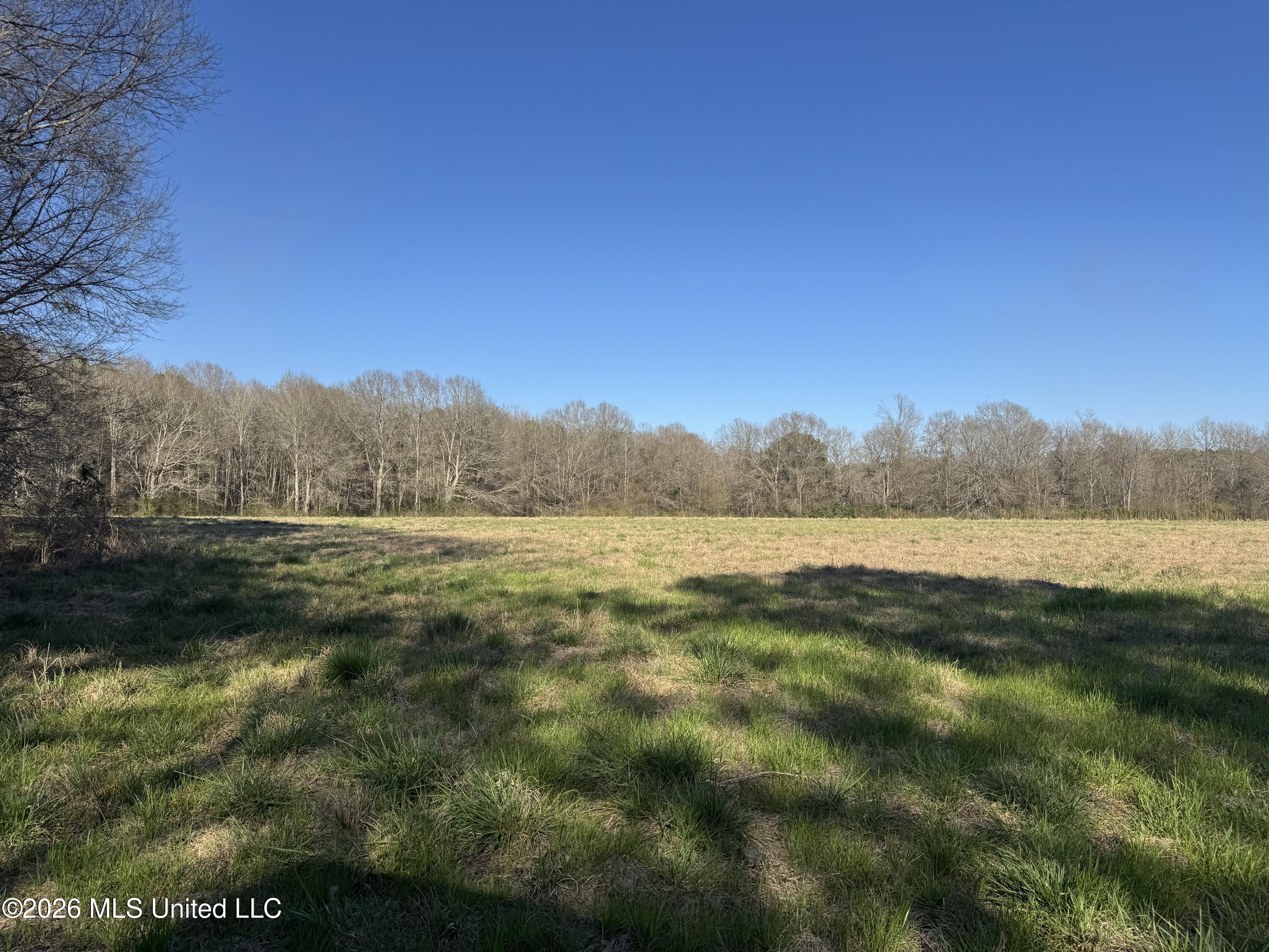 29 Sontag-Nola Road Sontag, MS 39665 - Photo 67 of 78 Photo Mar 02 2026, 15 28 48