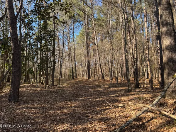 $560,000 | 29 Sontag-Nola Road, Sontag, MS 39665
