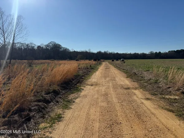 $560,000 | 29 Sontag-Nola Road, Sontag, MS 39665