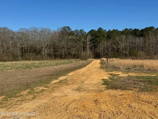 $560,000 | 29 Sontag-Nola Road, Sontag, MS 39665