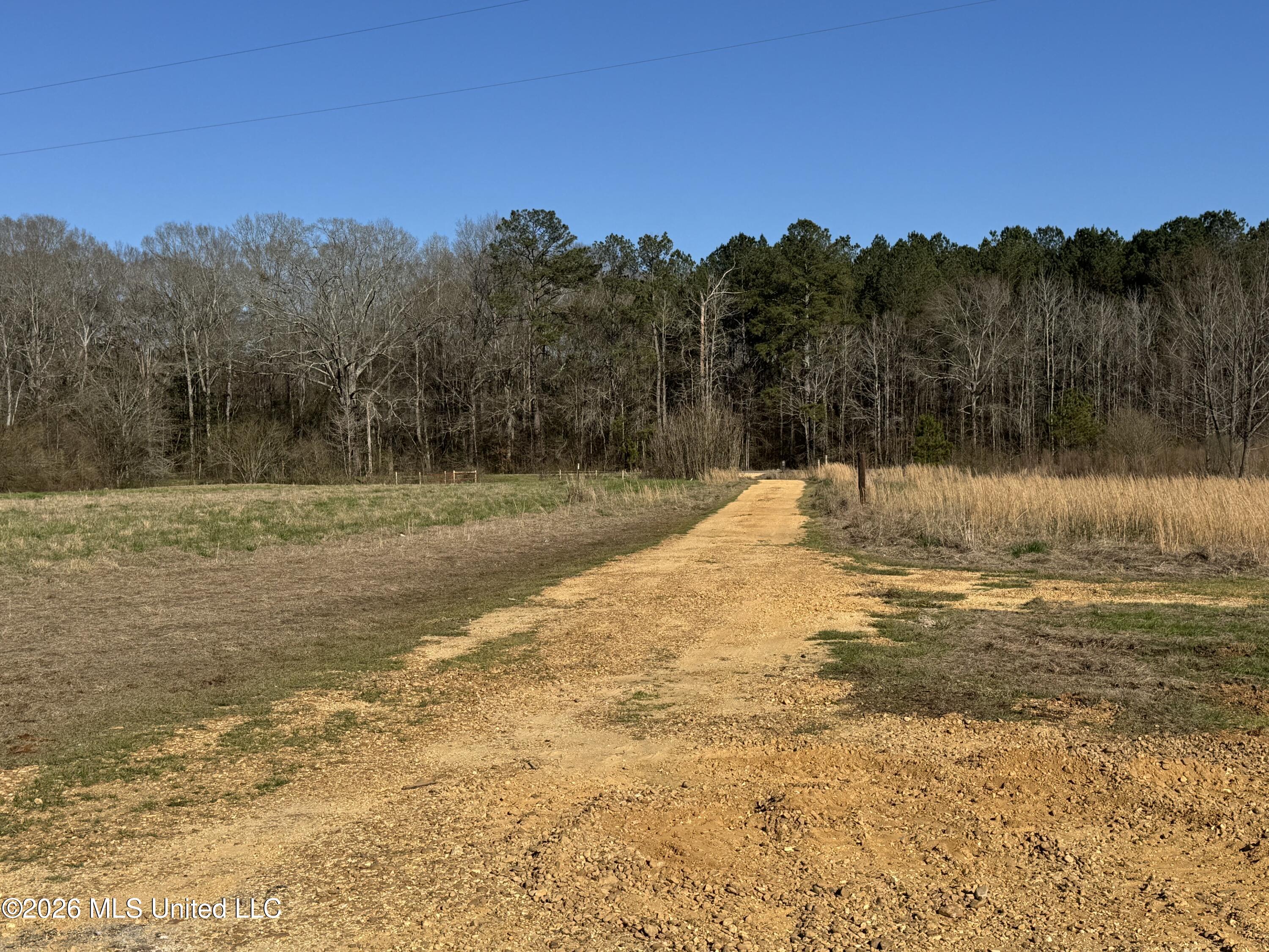 29 Sontag-Nola Road Sontag, MS 39665 - Photo 74 of 78 Photo Mar 02 2026, 15 34 05
