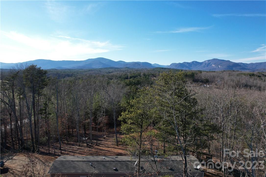 562 Grassy Knob Road Rutherfordton, NC 28139 - Photo 3 of 45