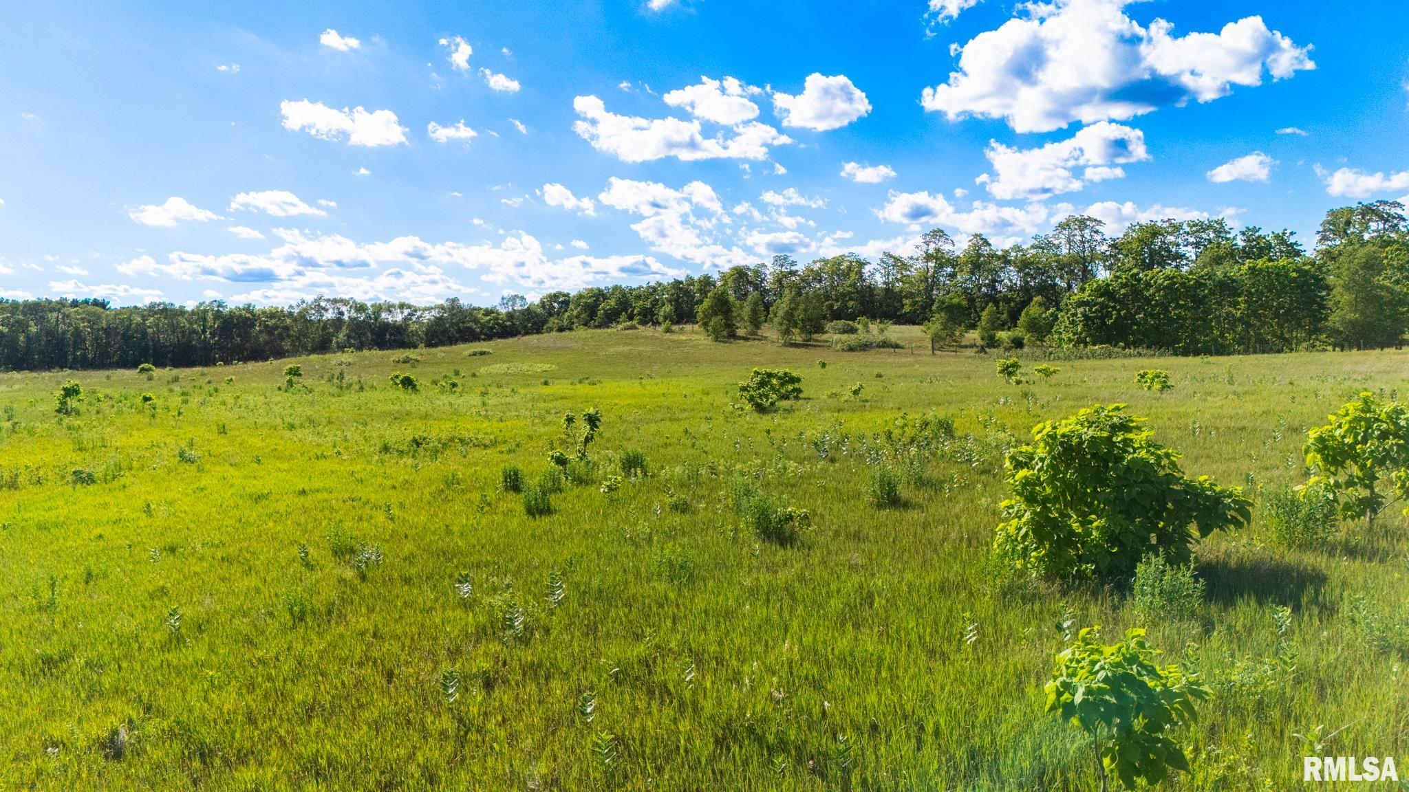 Shay Rd Green Valley Green Valley, IL 61534 - Photo 15 of 25