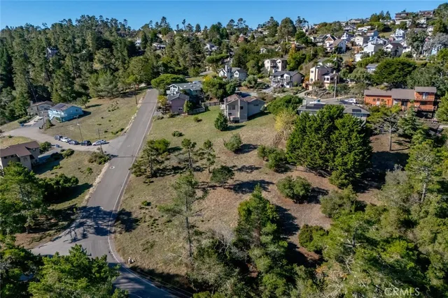 an aerial view of residential house with outdoor space