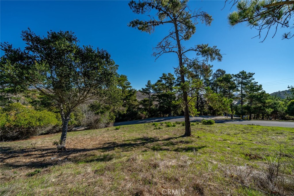 0 Pickwick Lane Cambria, CA 93428 - Photo 7 of 13