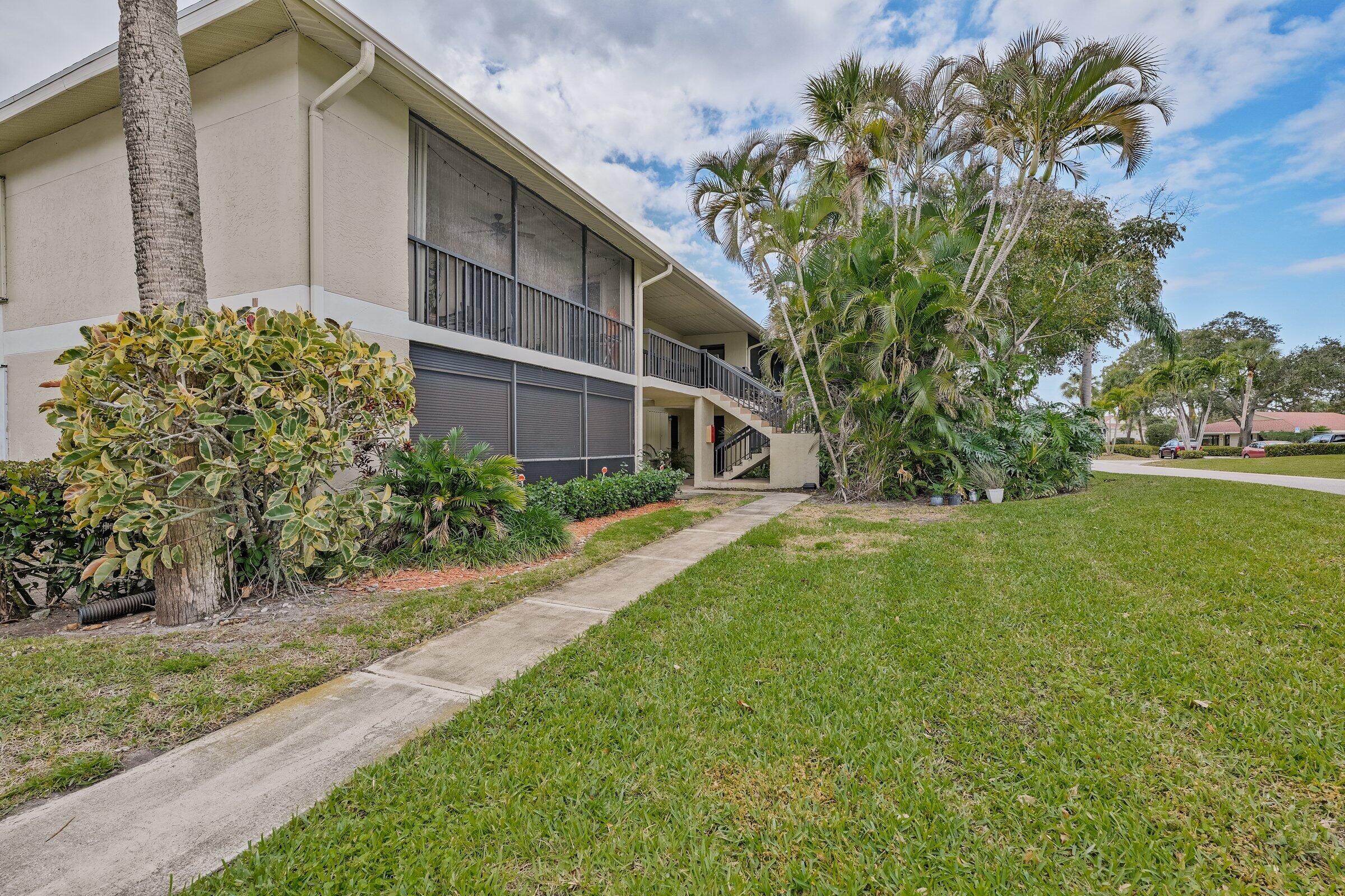 a view of backyard with large trees and flower plants