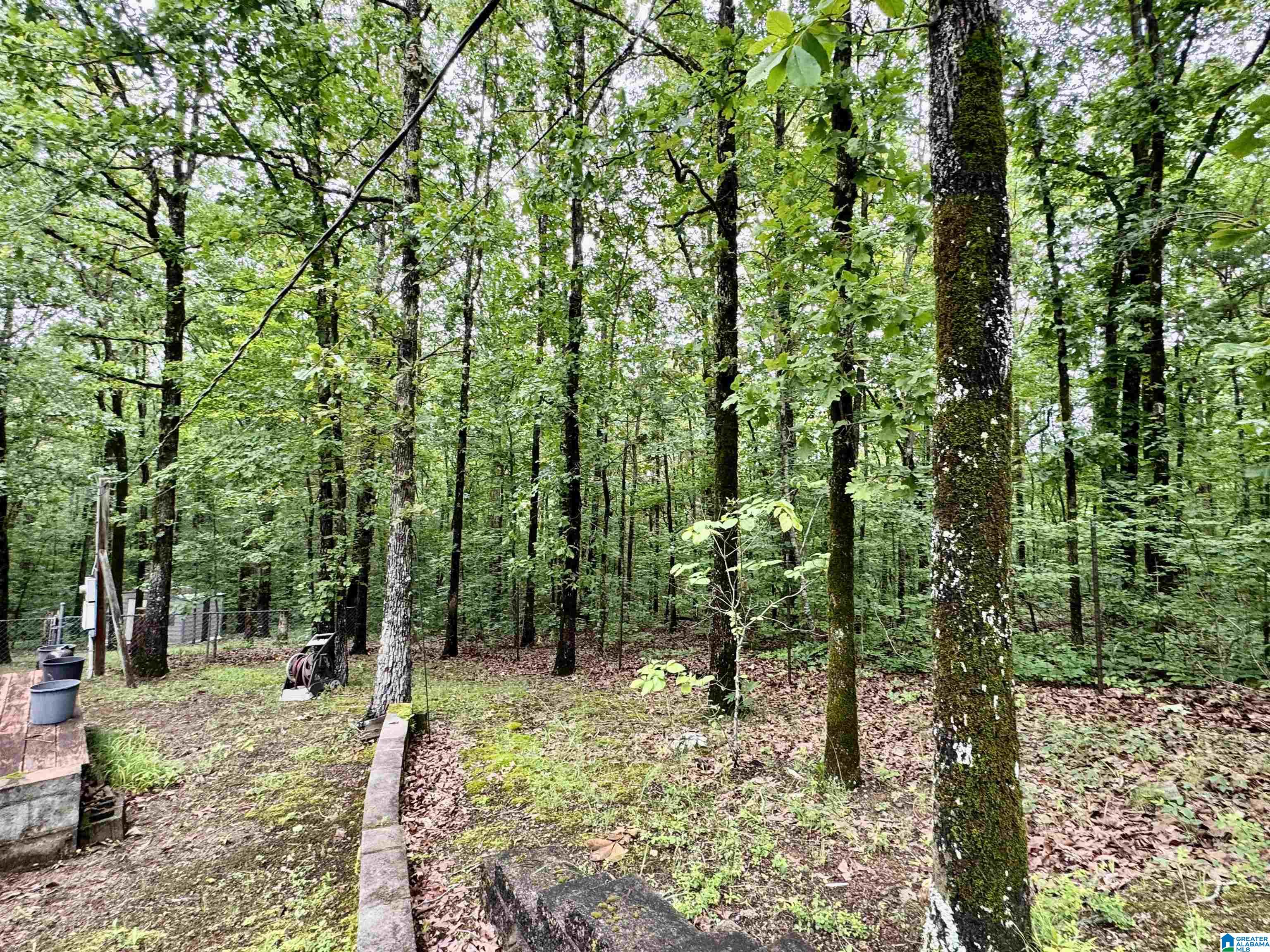 2910 Chelsea Road Columbiana, AL 35051 - Photo 18 of 26 Gallery Image 18