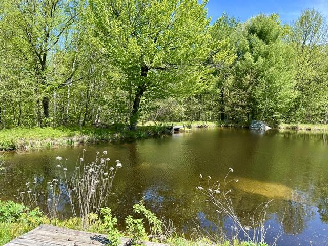 60 Mt Blue Pond Road Avon, ME 04966 - Photo 2 of 25 Pond