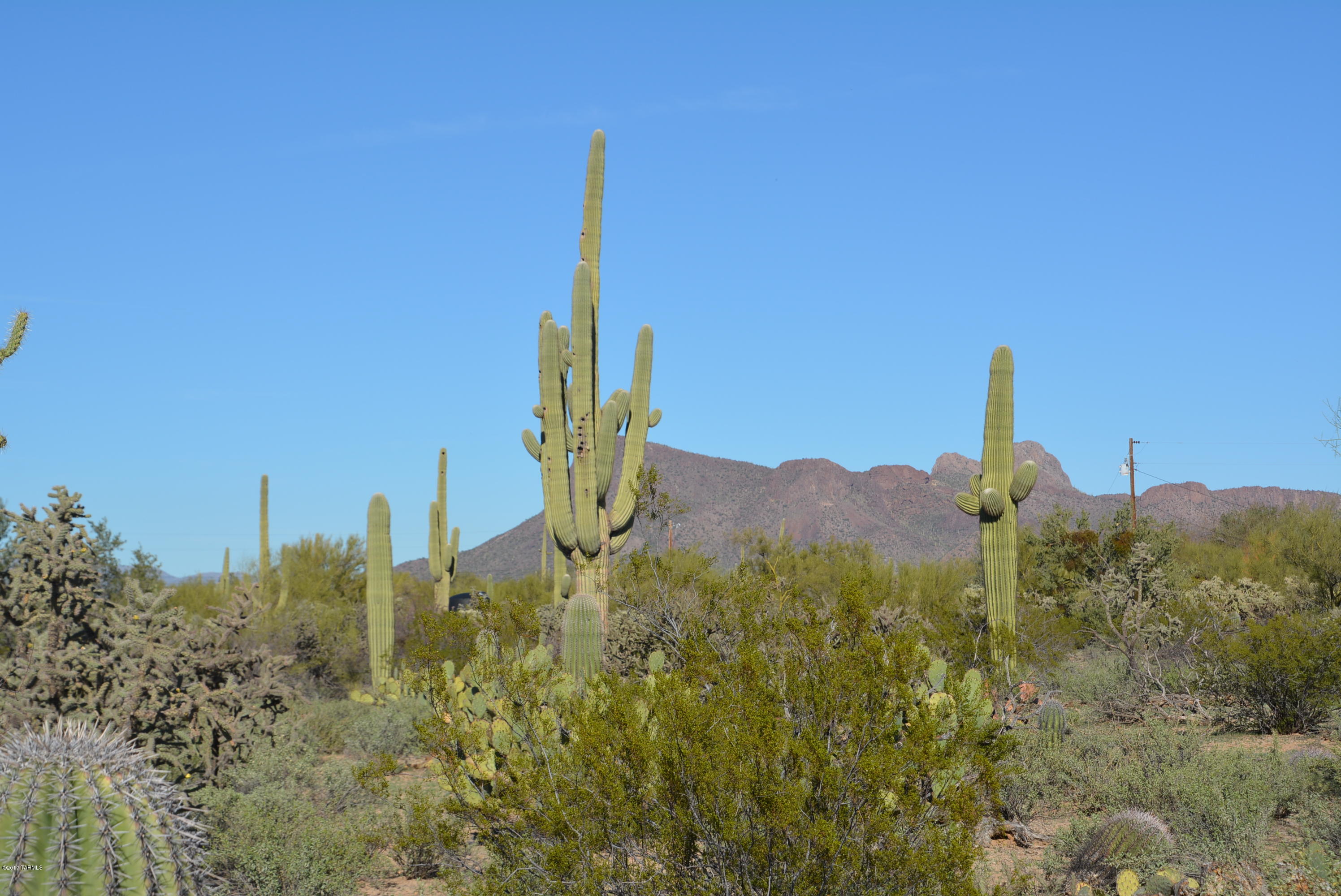 11700 West Rudasill Road, Unit LOT 4 Tucson, AZ 85743 - Photo 21 of 33