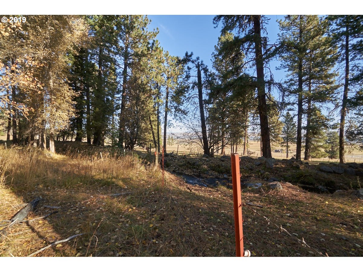 2 Scotch Creek Road Enterprise, OR 97828 - Photo 2 of 11 Gallery Image 2
