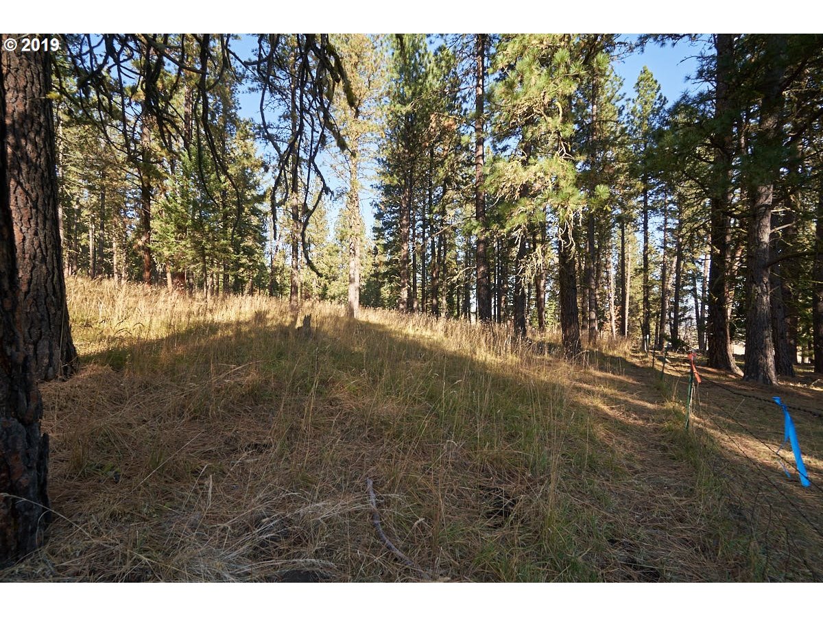 2 Scotch Creek Road Enterprise, OR 97828 - Photo 4 of 11 Gallery Image 4