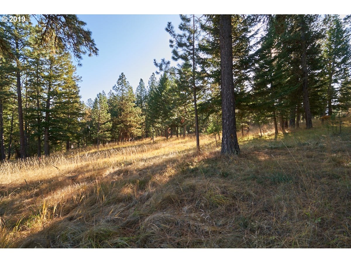 2 Scotch Creek Road Enterprise, OR 97828 - Photo 5 of 11 Gallery Image 5
