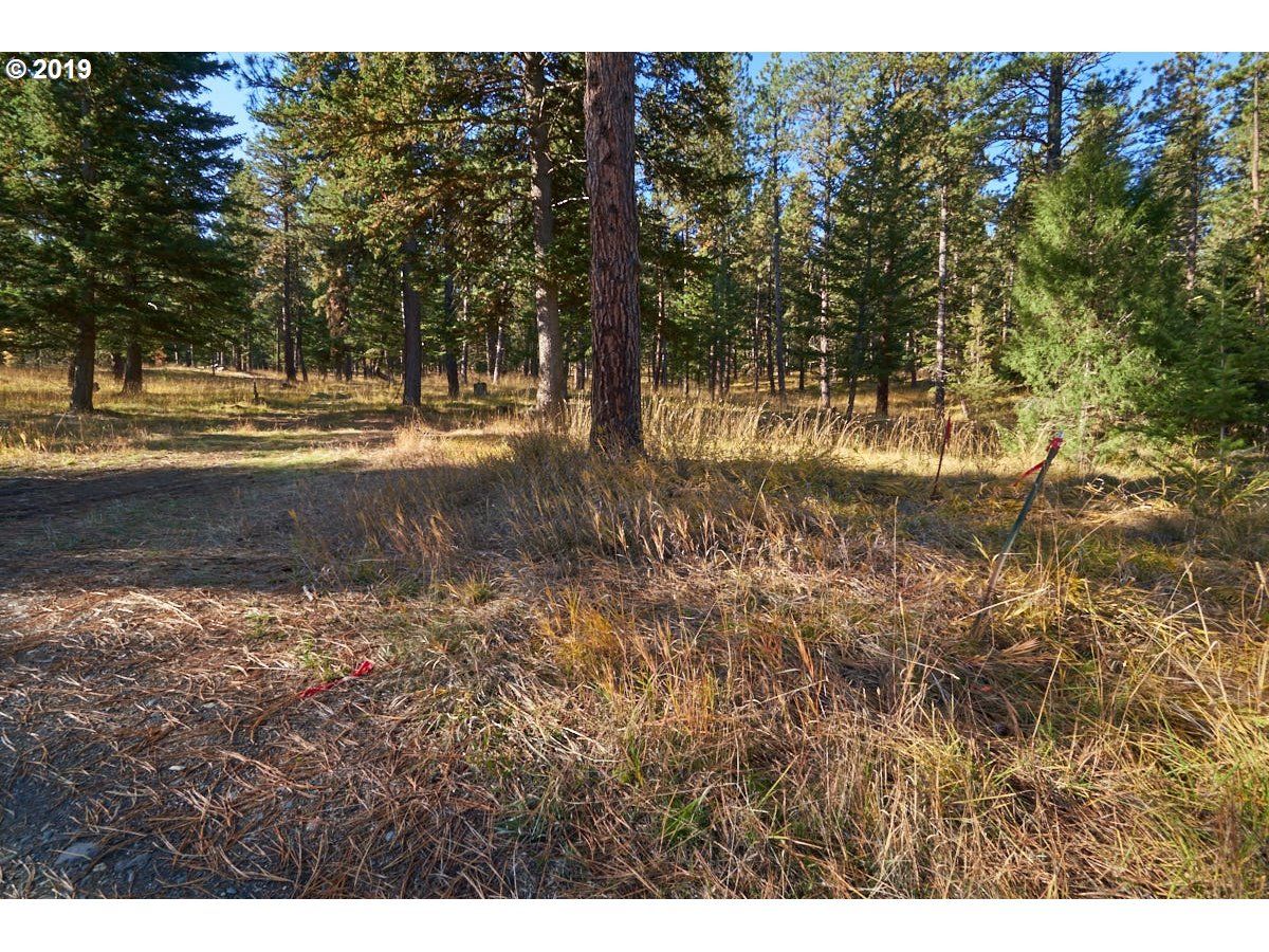2 Scotch Creek Road Enterprise, OR 97828 - Photo 6 of 11 Gallery Image 6