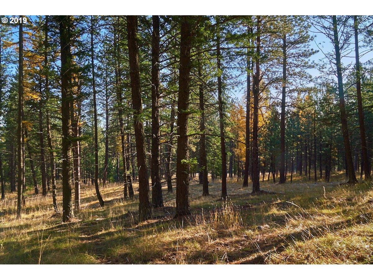 2 Scotch Creek Road Enterprise, OR 97828 - Photo 9 of 11 Gallery Image 9