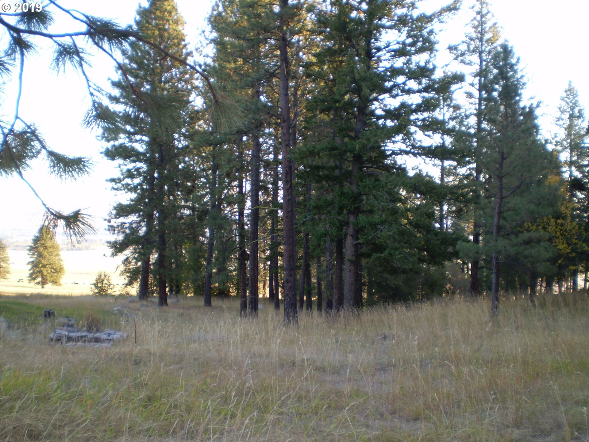 2 Scotch Creek Road Enterprise, OR 97828 - Photo 10 of 11 Gallery Image 10