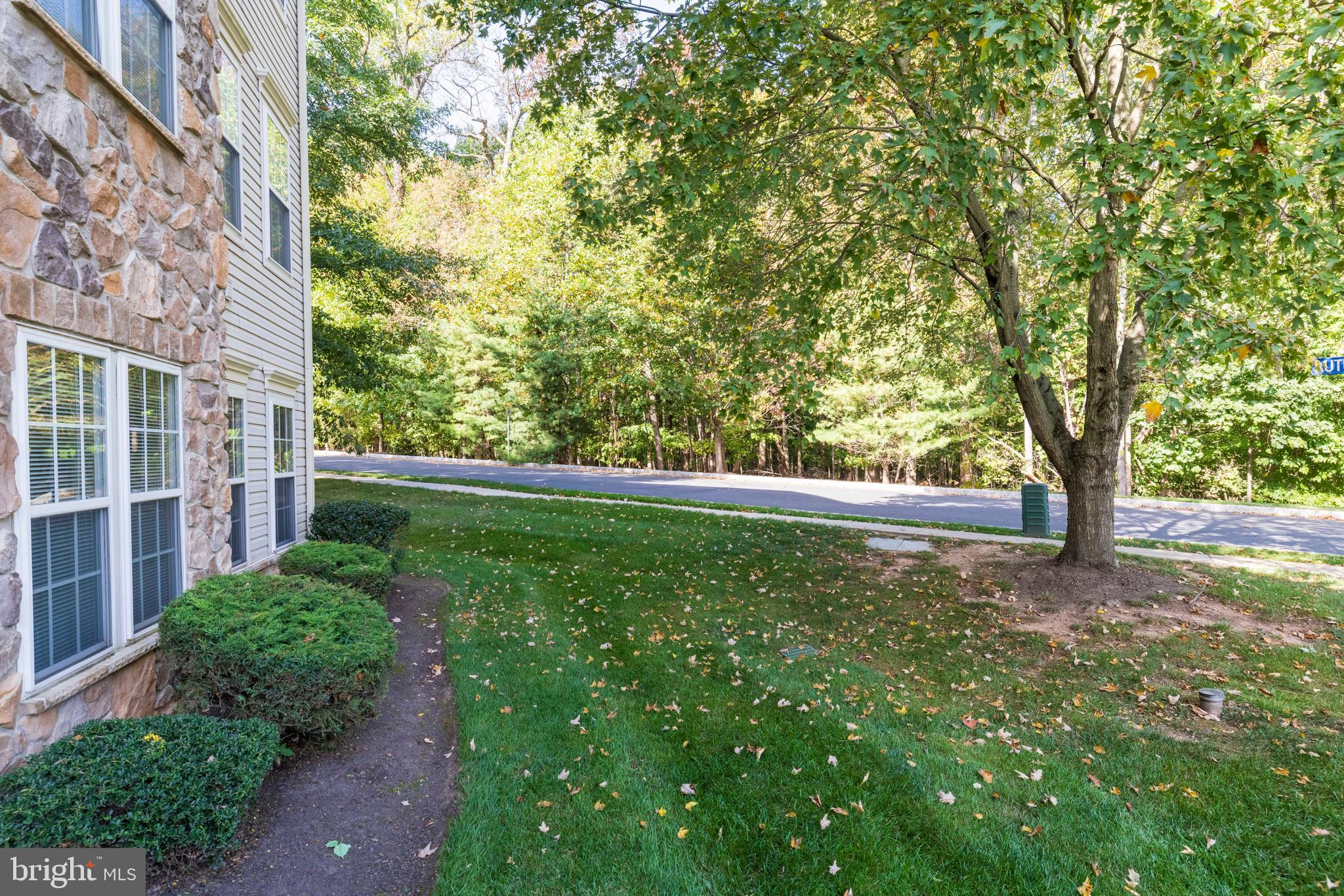 100 Fiddleleaf Lane, Unit 104 Warrington, PA 18976 - Photo 18 of 20 a view of backyard with green space