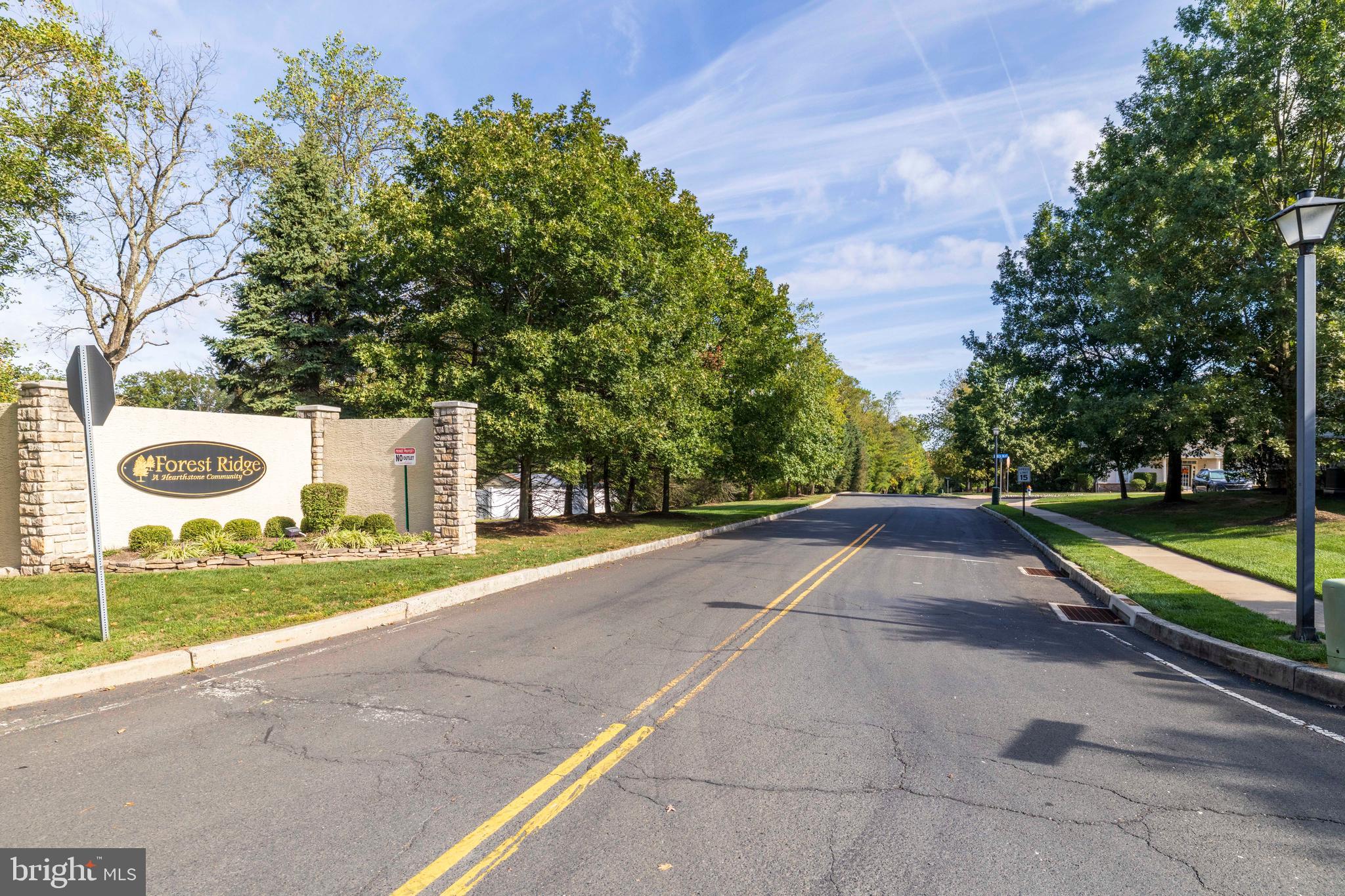 100 Fiddleleaf Lane, Unit 104 Warrington, PA 18976 - Photo 20 of 20 a front view of a house with a yard and trees