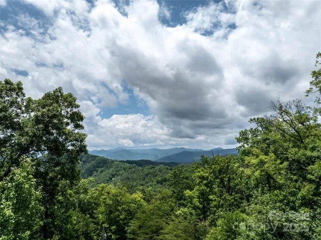 a view of a big yard with lots of green space