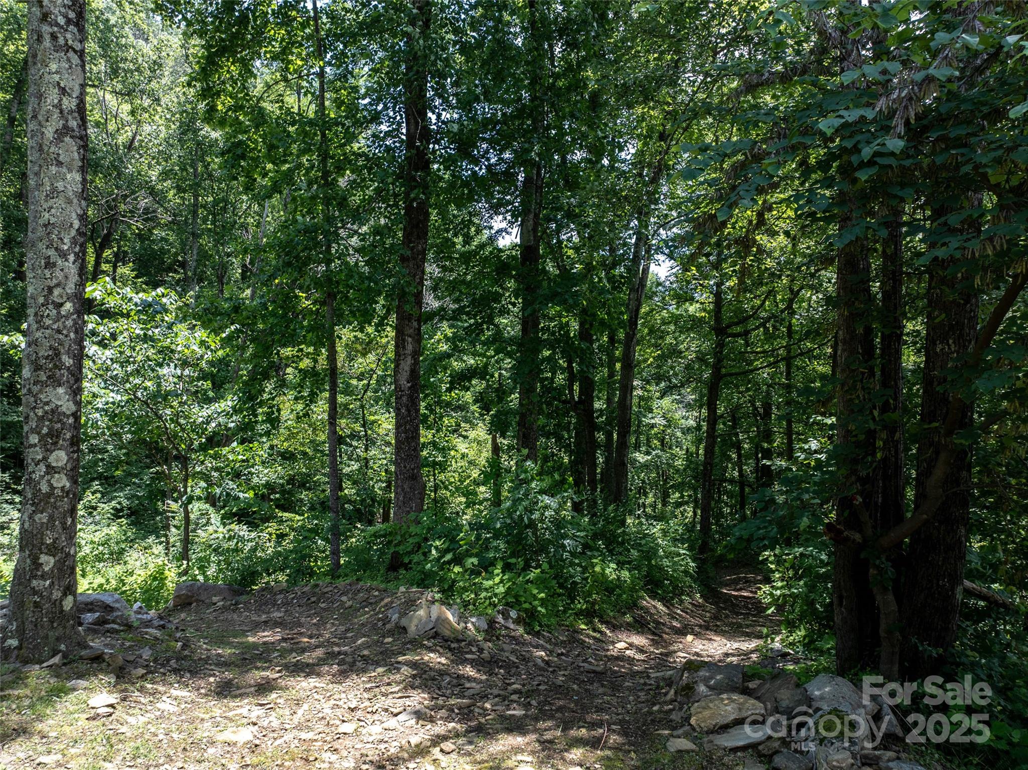 0 Doubleview Drive Union Mills, NC 28167 - Photo 13 of 14 a view of a forest with trees in the background