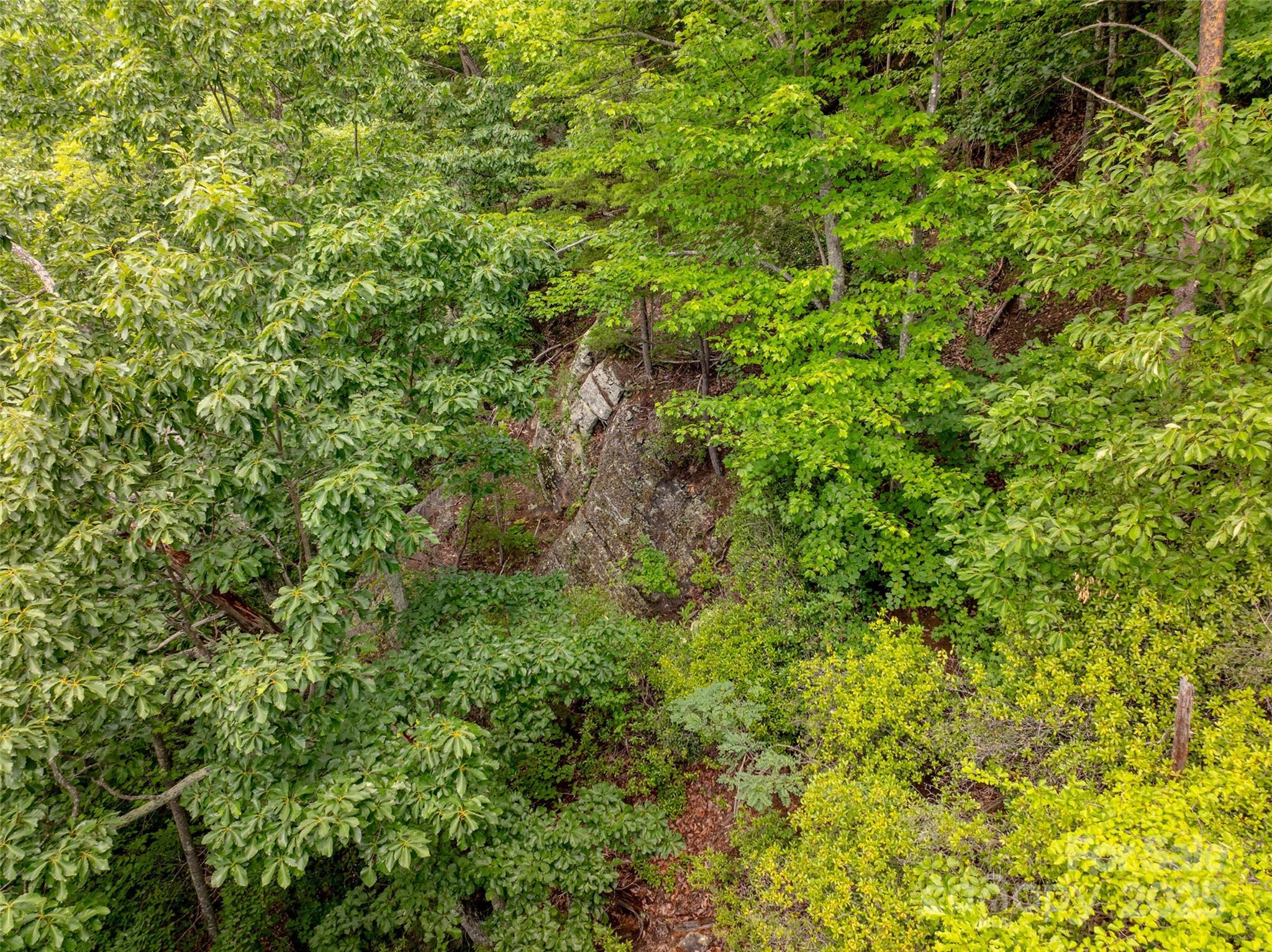 0 Doubleview Drive Union Mills, NC 28167 - Photo 4 of 14 a view of a lush green forest with large trees