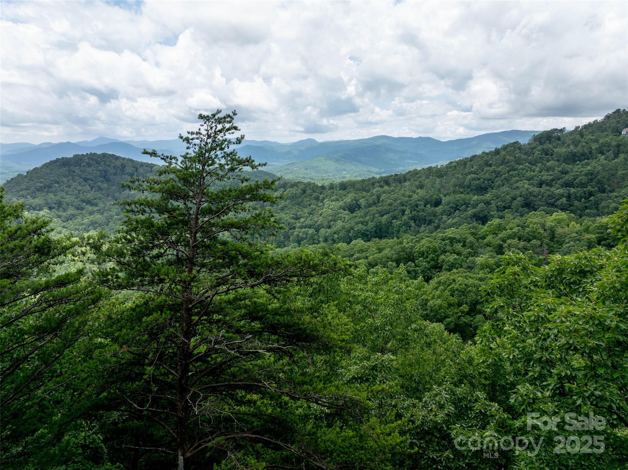 0 Doubleview Drive Union Mills, NC 28167 - Photo 5 of 14 a view of a green field with lots of bushes