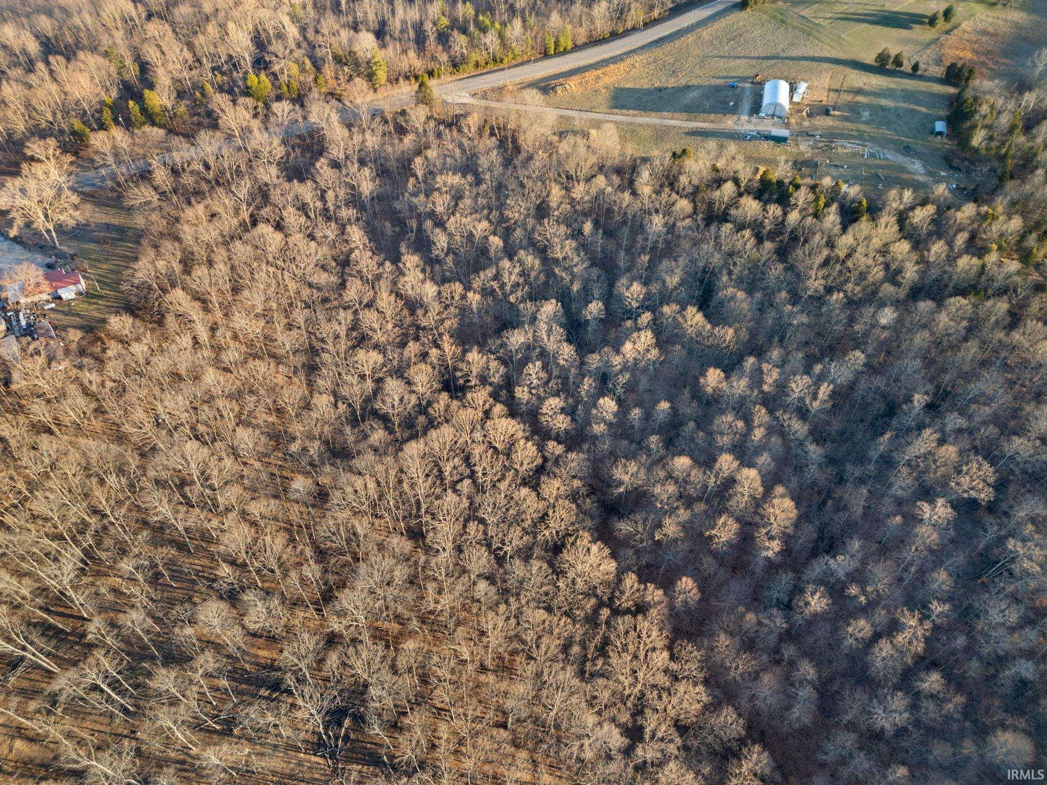 1545 South State Road English, IN 47118 - Photo 6 of 22