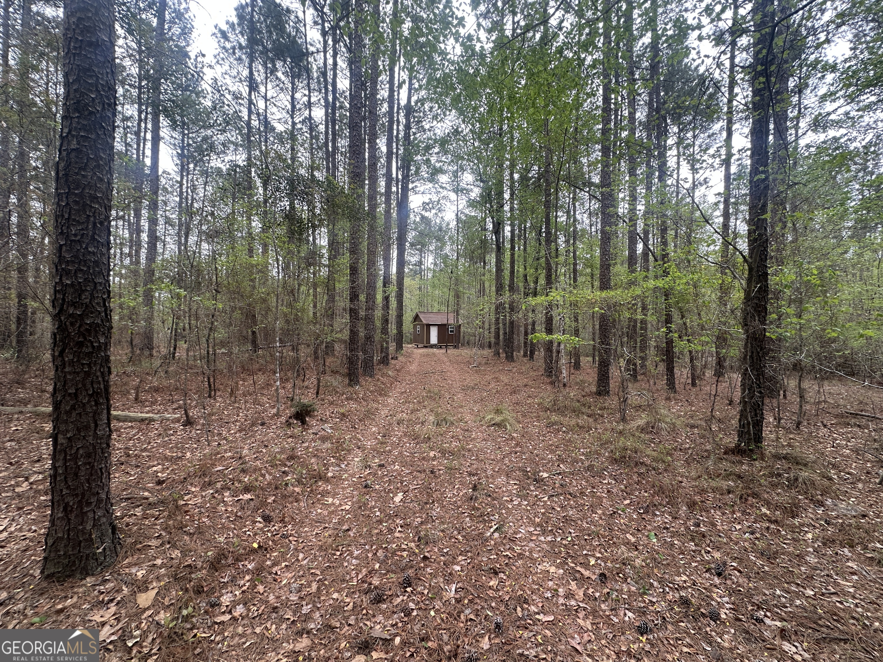 0 Fred Chance Road Millen, GA 30442 - Photo 17 of 19