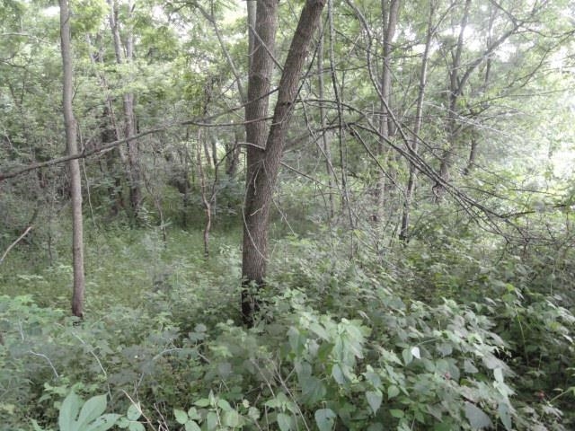 Lt 9 Cardinal Crest Lane New Glarus, WI 53574 - Photo 22 of 64