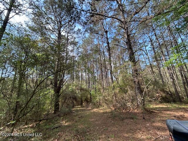 115 Ryans Road Tylertown, MS 39667 - Photo 13 of 65 IMG_3601 (1)