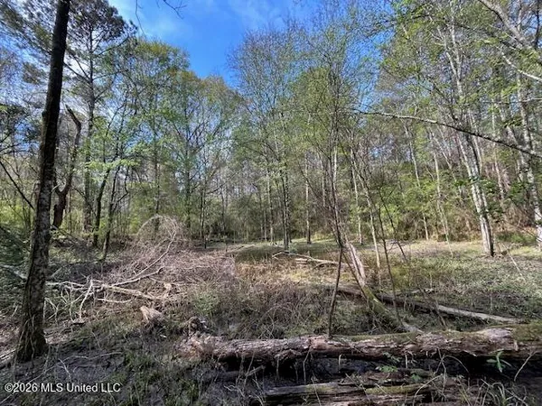 $149,500 | 115 Ryans Road, Tylertown, MS 39667