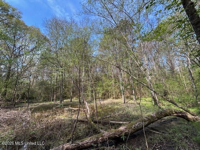 115 Ryans Road Tylertown, MS 39667 - Photo 15 of 65 IMG_3603 (1)