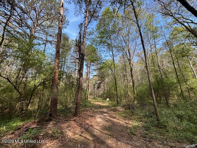 115 Ryans Road Tylertown, MS 39667 - Photo 16 of 65 IMG_3604 (1)