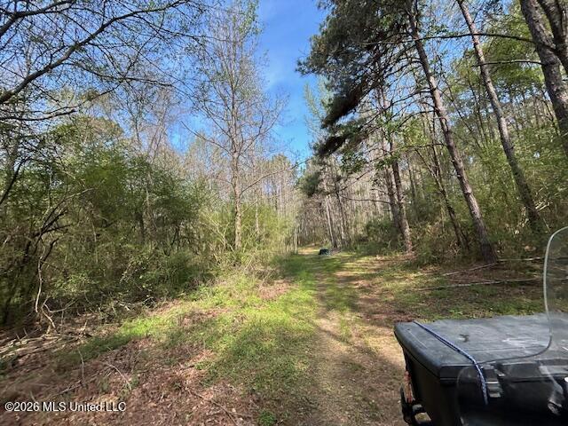 115 Ryans Road Tylertown, MS 39667 - Photo 17 of 65 IMG_3605 (1)