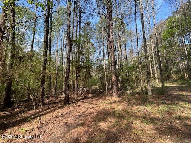 115 Ryans Road Tylertown, MS 39667 - Photo 19 of 65 IMG_3609 (1)