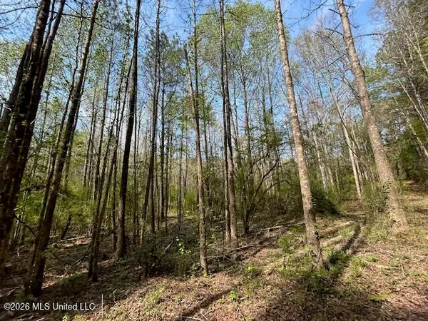 $149,500 | 115 Ryans Road, Tylertown, MS 39667