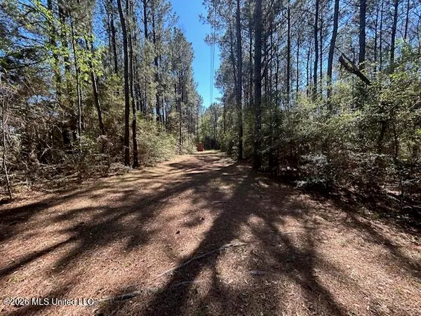 $149,500 | 115 Ryans Road, Tylertown, MS 39667