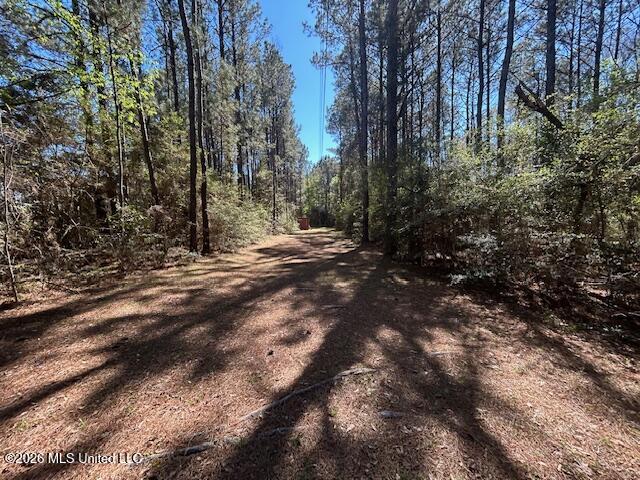 115 Ryans Road Tylertown, MS 39667 - Photo 2 of 65 IMG_3523 (2)