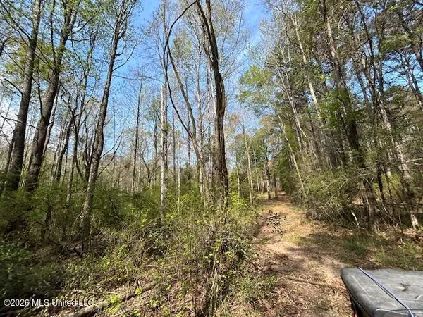 $149,500 | 115 Ryans Road, Tylertown, MS 39667