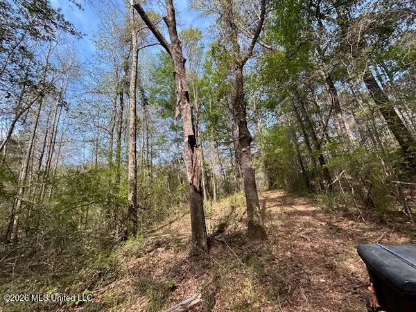 $149,500 | 115 Ryans Road, Tylertown, MS 39667