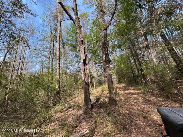 115 Ryans Road Tylertown, MS 39667 - Photo 22 of 65 IMG_3613 (2)