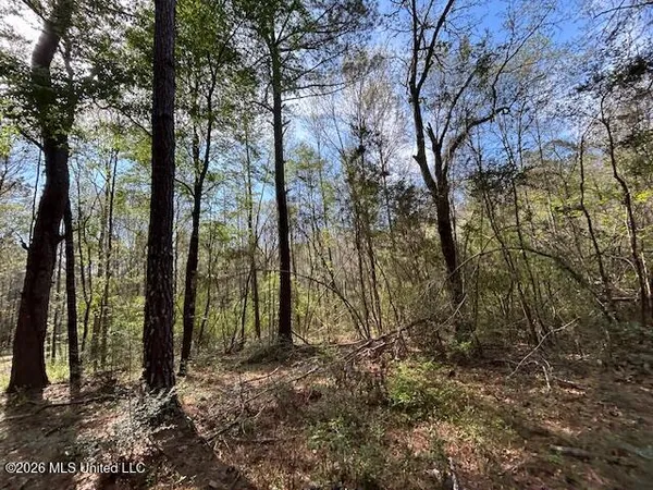 $149,500 | 115 Ryans Road, Tylertown, MS 39667