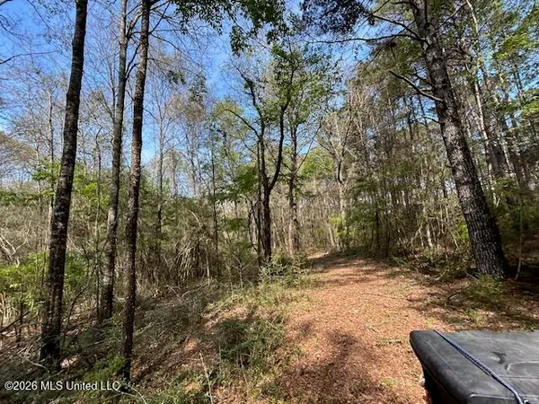 $149,500 | 115 Ryans Road, Tylertown, MS 39667