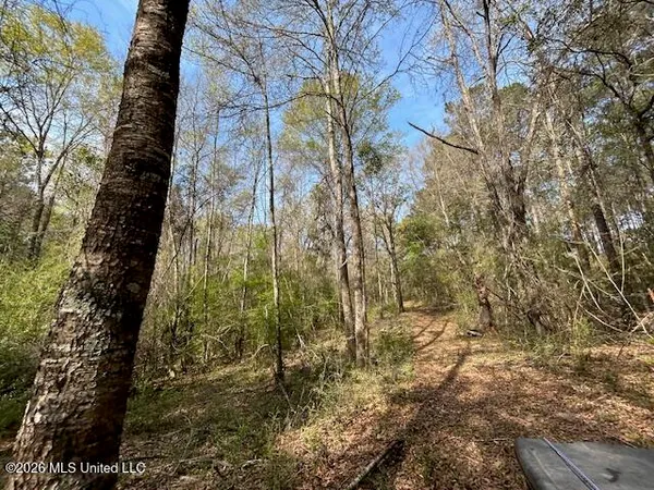 $149,500 | 115 Ryans Road, Tylertown, MS 39667