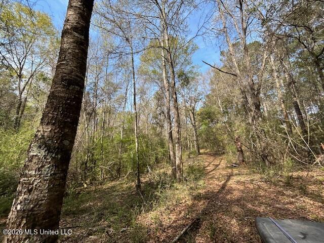 115 Ryans Road Tylertown, MS 39667 - Photo 25 of 65 IMG_3616 (2)