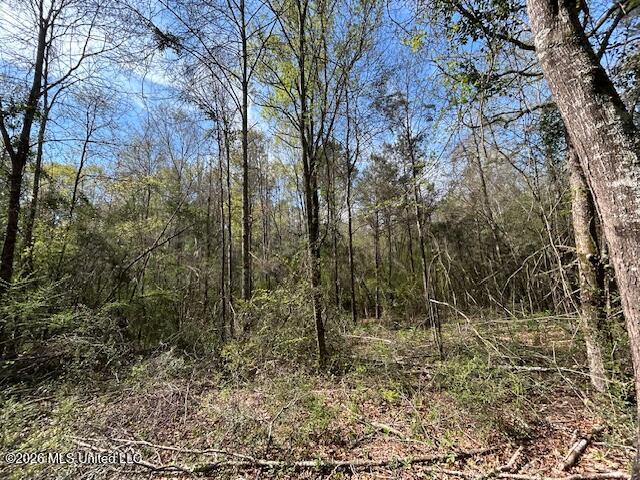 115 Ryans Road Tylertown, MS 39667 - Photo 26 of 65 IMG_3617