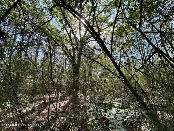 $149,500 | 115 Ryans Road, Tylertown, MS 39667