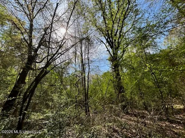 $149,500 | 115 Ryans Road, Tylertown, MS 39667