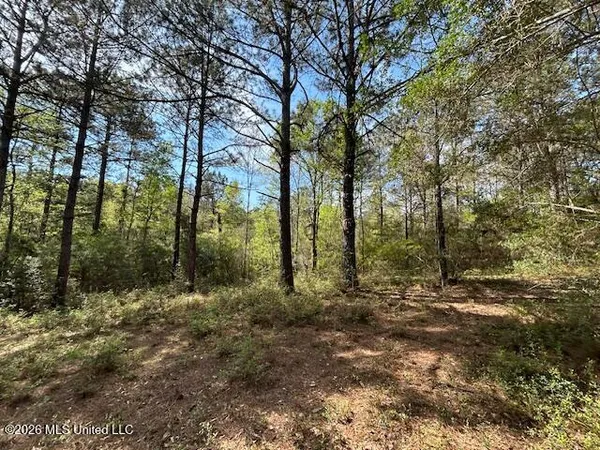 $149,500 | 115 Ryans Road, Tylertown, MS 39667