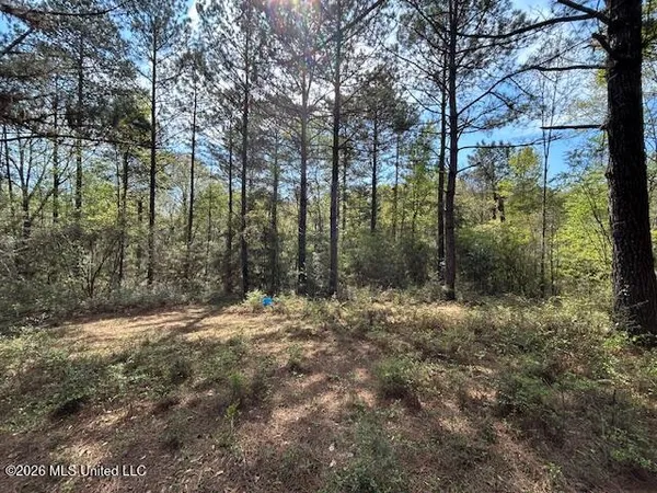 $149,500 | 115 Ryans Road, Tylertown, MS 39667