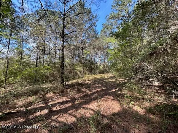 $149,500 | 115 Ryans Road, Tylertown, MS 39667